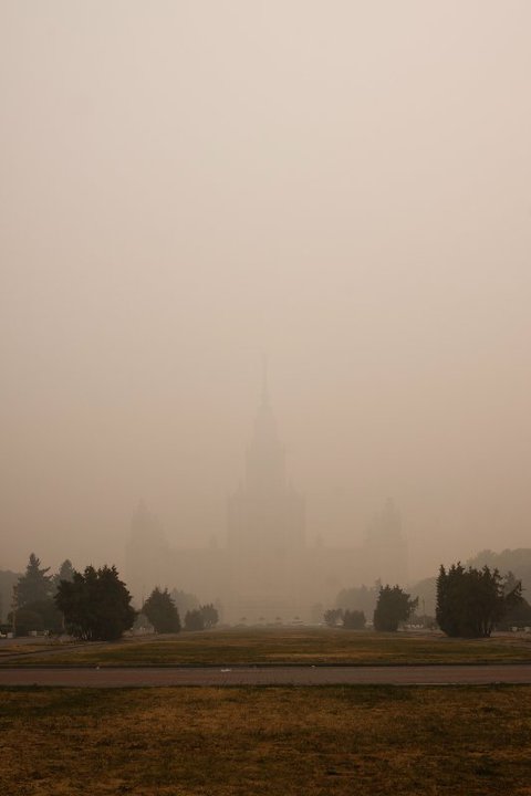 Университет в тумане