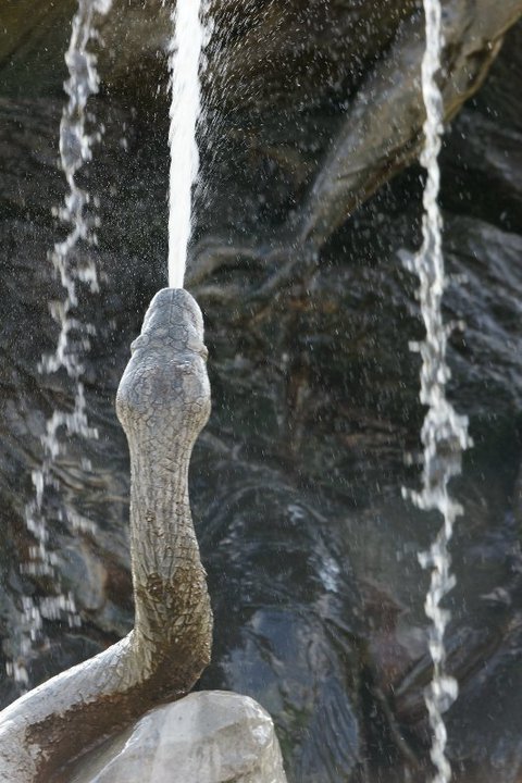 Snake fountain