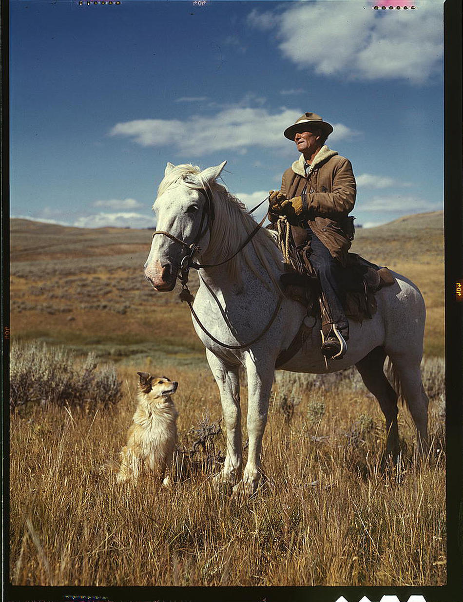 Shepherd with his horse and dog on Gravelly Range Madison County, Montana