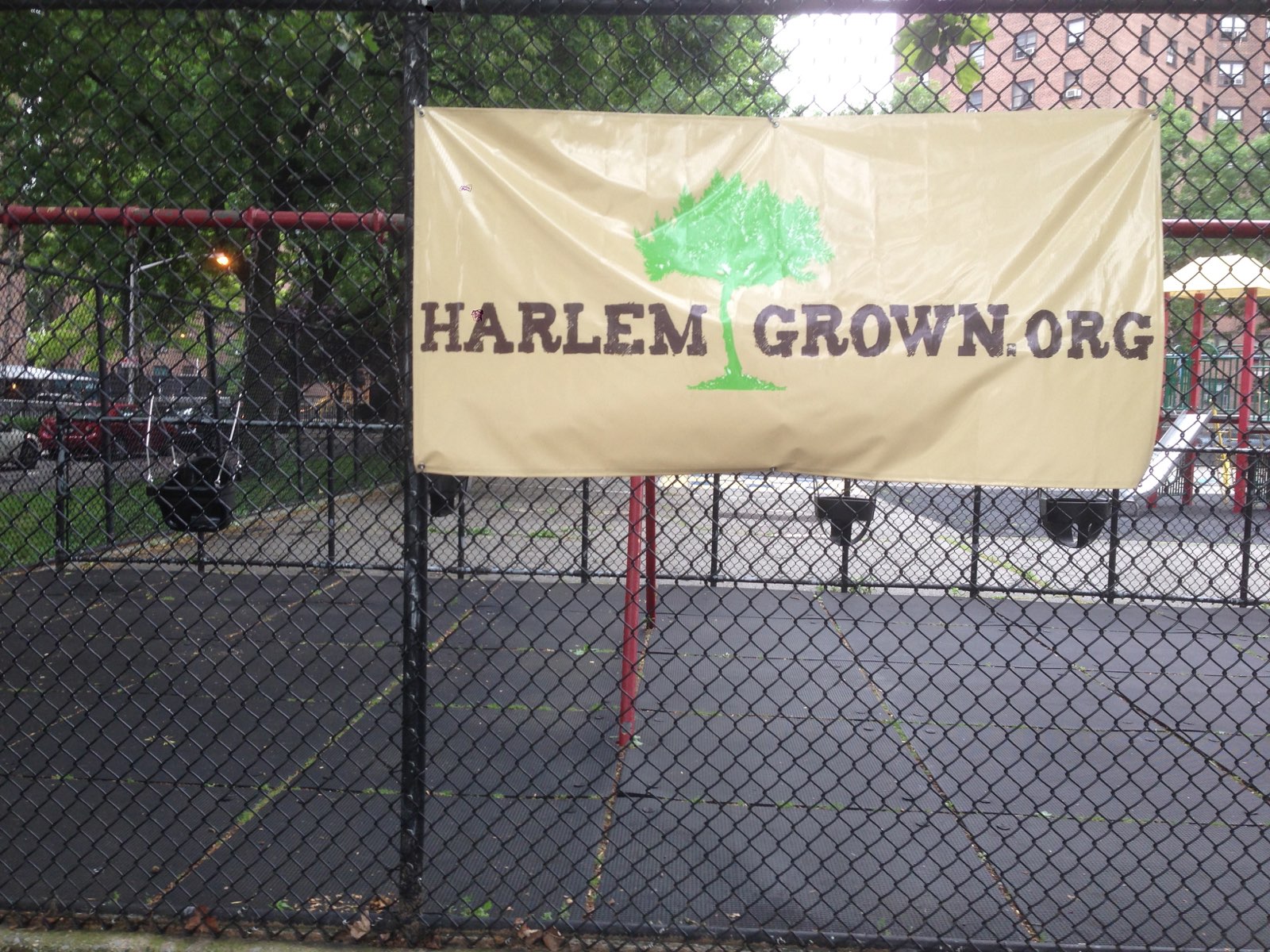 Harlem Grown
