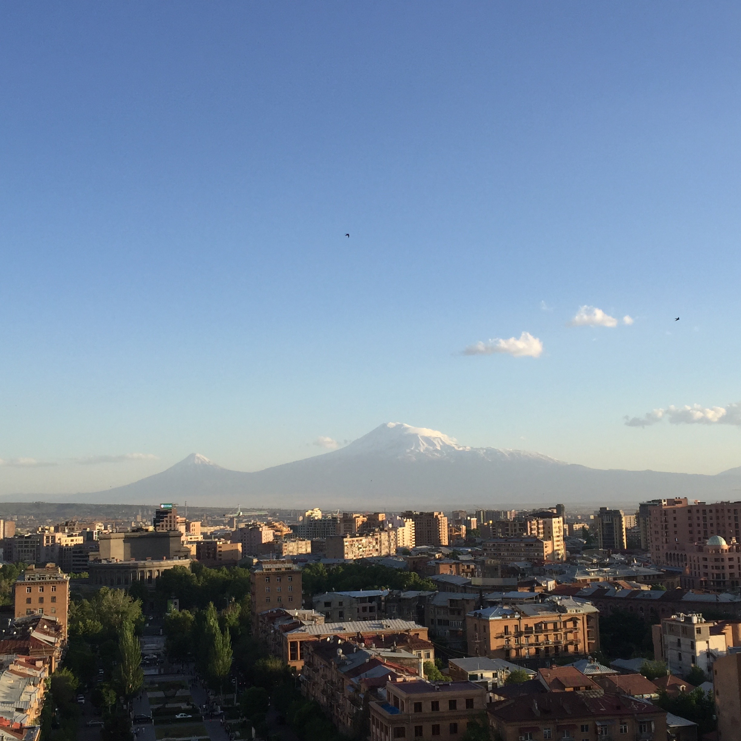Ararat view