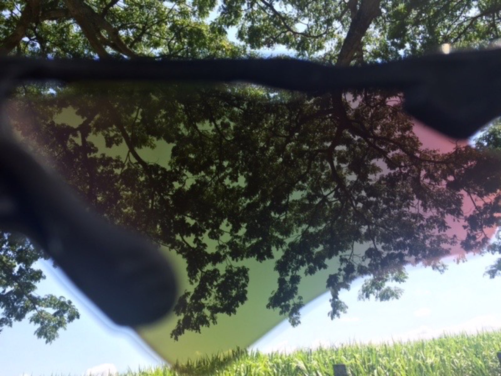 Through the glasses